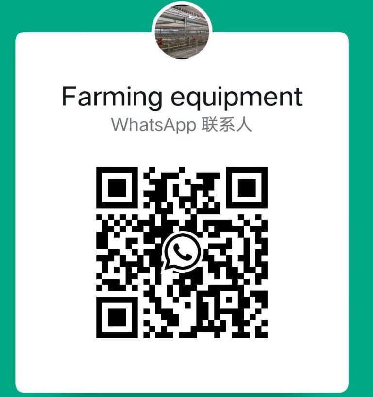 Constructing Automated Chicken Farms and Poultry Rearing Facilities: You need to build an automated chicken farm and poultry rearing facility, and factories in China can manufacture and install intelligent livestock and poultry farming equipment for you.
