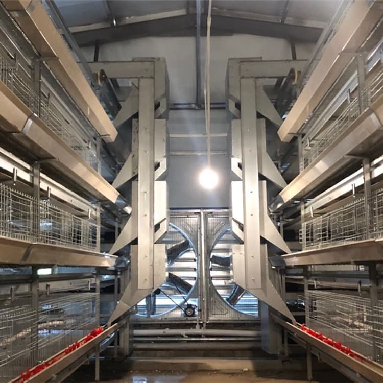 Gaiola laminada para frangos 2 Compact layer cage system for small farms