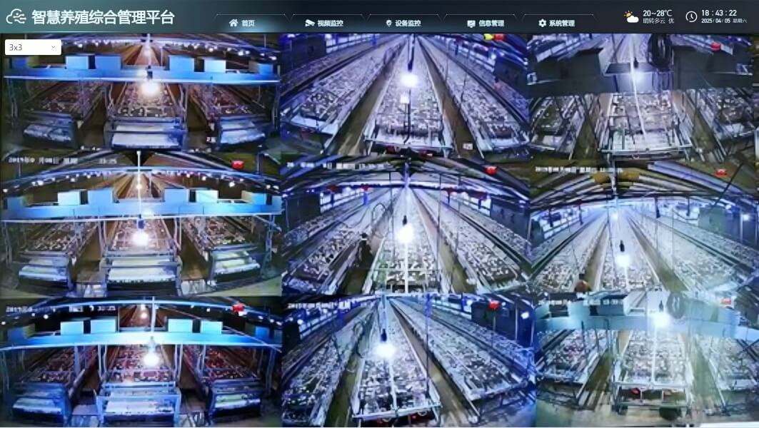 For automated poultry breeding equipment and steel structure plant buildings, please contact us.