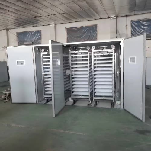 For automated poultry breeding equipment and steel structure plant buildings, please contact us.