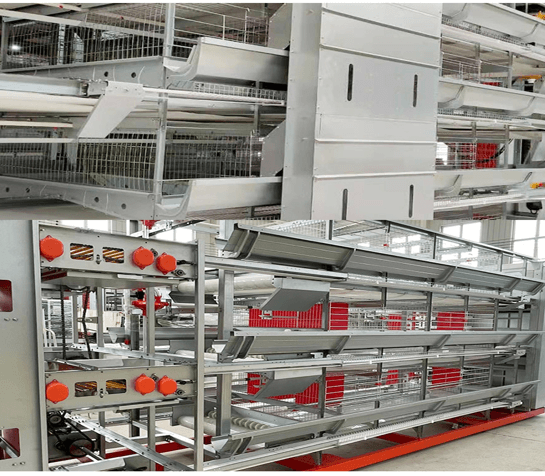 Compre Sistemas Inteligentes de Gaiolas Automáticas para Avicultura à Venda