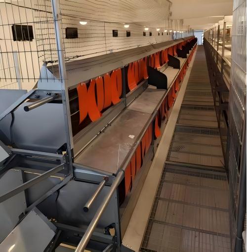 Fornecimento direto de fábrica de equipamentos europeus para criação de poedeiras e equipamentos avícolas aprovados para exportação à União Europeia, atendendo fornecedores globais de granjas de poedeiras e empresas de comércio de equipamentos avícolas, com suporte abrangente desde o projeto até a instalação, comissionamento e serviço pós-venda de longo prazo.﻿